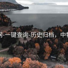 中特网-一键查询-历史归档，中特中心