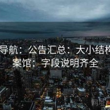 0149导航：公告汇总：大小结构：档案馆：字段说明齐全