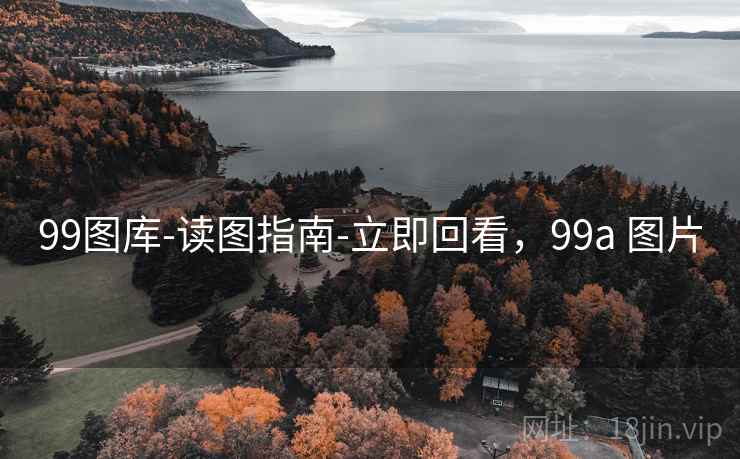 99图库-读图指南-立即回看，99a 图片  第2张