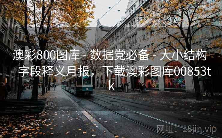 澳彩800图库 - 数据党必备 大小结构 字段释义月报，下载澳彩图库00853tk  第1张